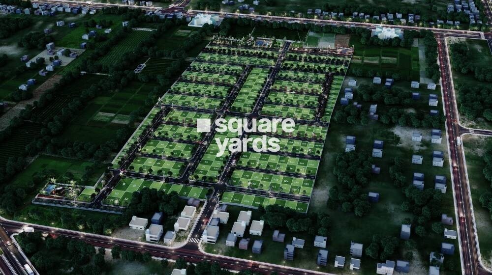 Urban Tree Jade Jubilance