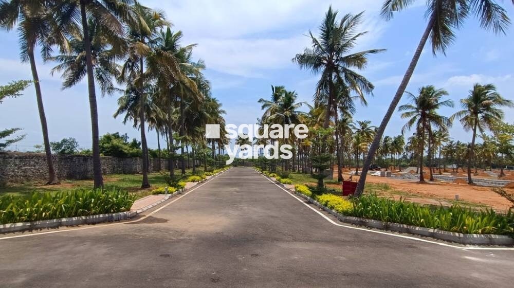 Urban Tree Sapphire Garden