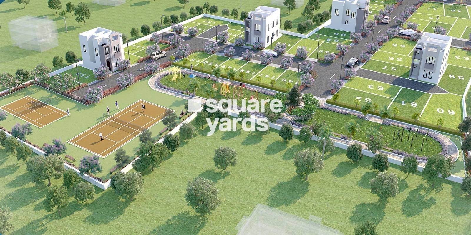 Urban Tree Silverfields