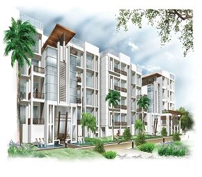 Adroit Aura One