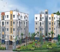 Agni Flamingo Featured Image