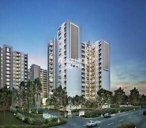 Akshaya Disney