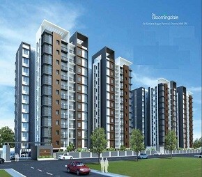 Appaswamy The Blooming Dale Featured Image