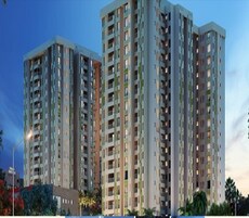 Appaswamy Trellis Featured Image