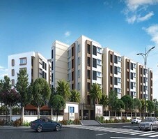 Arboretum Gemini Aster Featured Image