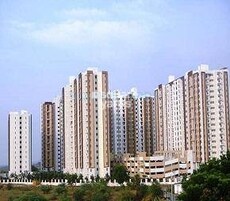 Arun Excello Temple Green Featured Image