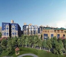 Bonito at Brigade Xanadu Featured Image