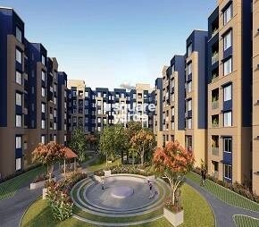 Brigade Bonito Video