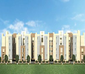 Casa Grande Cherry Pick