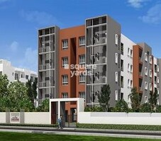 Casa Grande Padi Featured Image