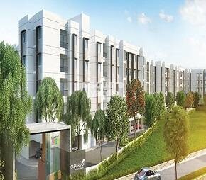 Casagrand Asta Video