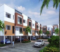 Color Avenue Featured Image