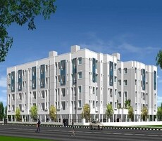 DABC Begonia Featured Image