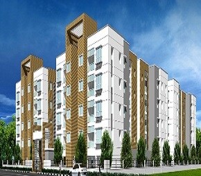 Elegant Pelican Nest