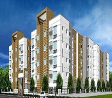 Elegant Pelican Nest Featured Image