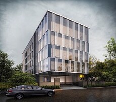 Etica Malar Aurum Featured Image