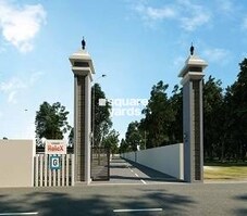 G Square Rolex Featured Image