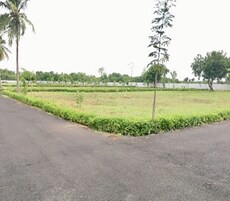 Golden Nest County Featured Image