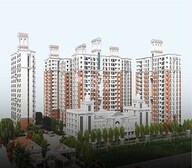 Golden Opulence Video