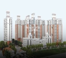 Golden Opulence Featured Image