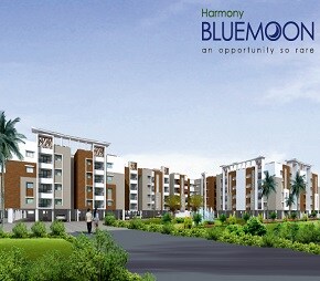 Harmony Blue Moon