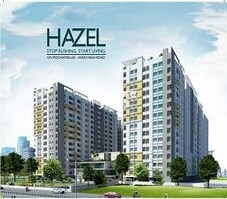 Hazel Featured Image