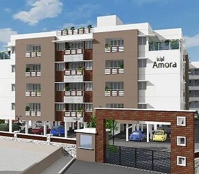ICIPL Amora
