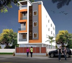 Ideal Daisy Featured Image