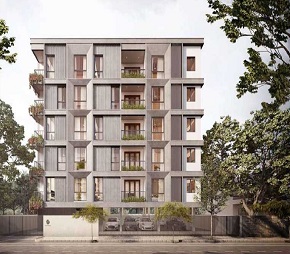 Interspace Tulsi Featured Image