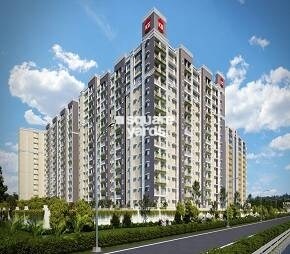 KG Impressions Video