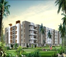 MF Vruksha Featured Image