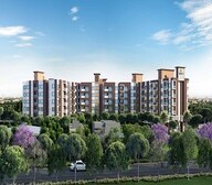 Nature Ayana 95 Video