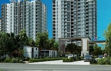 NCC Urban Ivy Towers Featured Image