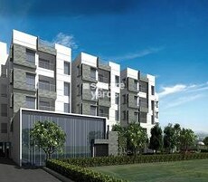 NCC Urban Temple Trees Featured Image