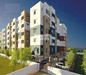 Newry Aura