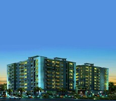 Newry Celestial Featured Image