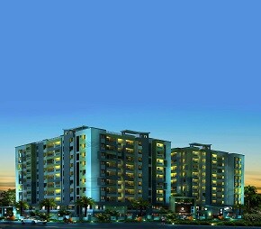 Newry Celestial, Avadi, Chennai