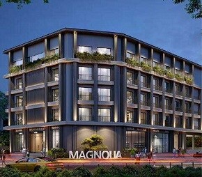 NGB Magnolia