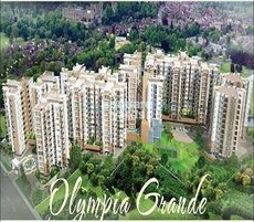 Olympia Grande Featured Image