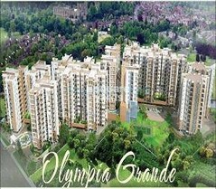 Olympia Grande