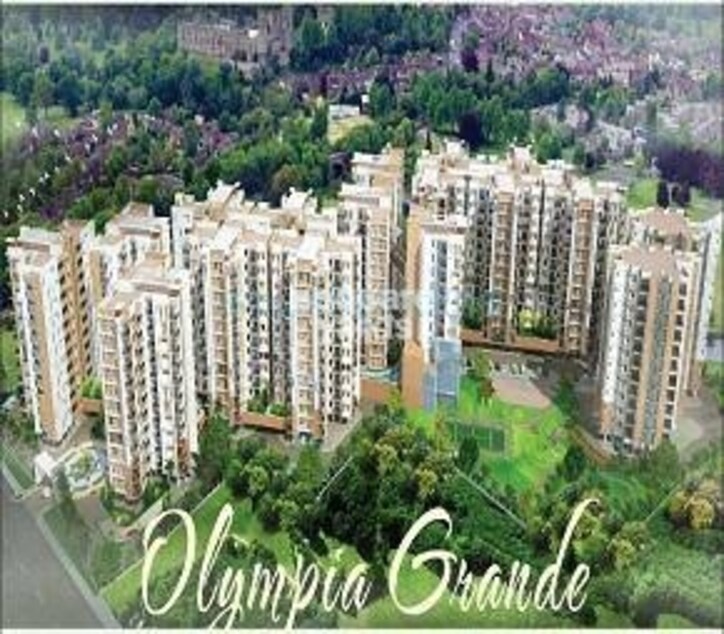 Olympia Grande Cover Image