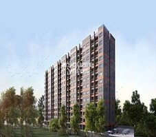 Olympia Opaline Featured Image