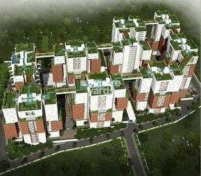 Osian Chlorophyll, Porur, Chennai