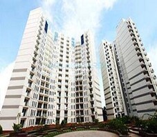 Ozone Metrozone Featured Image