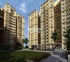 Pacifica Aurum Featured Image