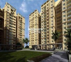 Pacifica Aurum Featured Image