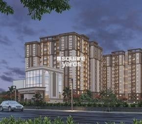 Pavani North Star Video