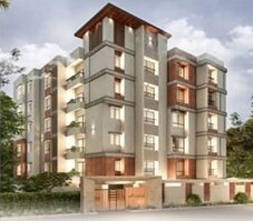 Pearl Aster Featured Image