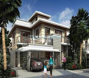 Prestige Silver Springs