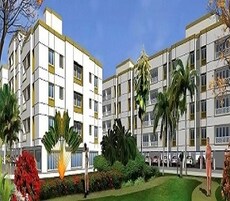 Prince Greenwoods Featured Image